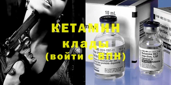 индика Новодвинск