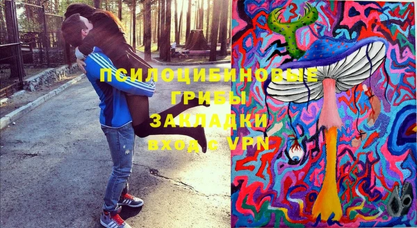 apvp Алексин