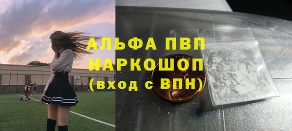 индика Новодвинск