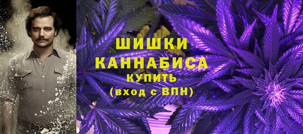 каннабис Новозыбков