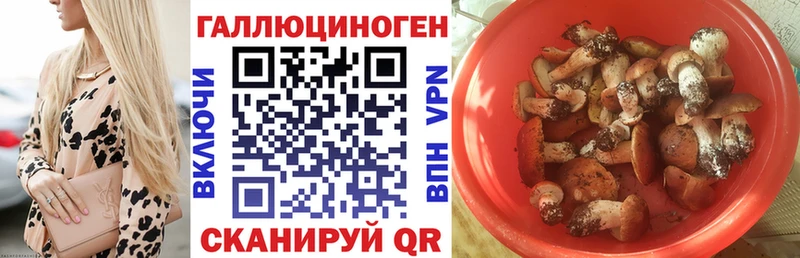 хочу наркоту  blacksprut ссылки  Галлюциногенные грибы Psilocybe  Южно-Сухокумск 